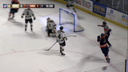 ECHL Wheeling Nailers 2 at Greenville Swamp Rabbits 2