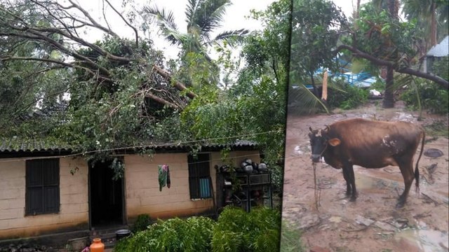 வேதாரண்யத்தை புரட்டிப் போட்ட கஜா | பள்ளி கல்லூரிகளுக்கு விடுமுறை- வீடியோ