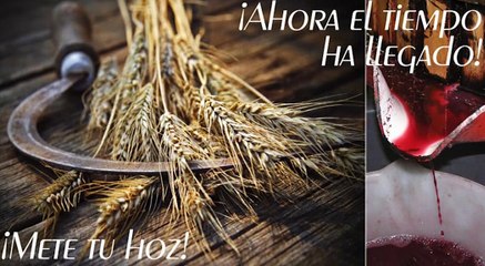 Sembrando Esperanza - La estabilidad del matrimonio - Jesus vazquez, Maru - 10.11.2018