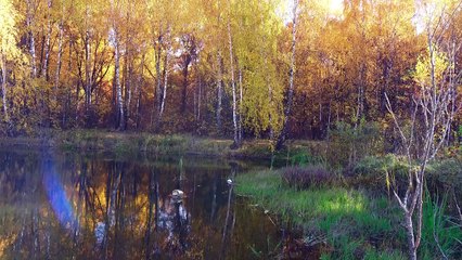 Осень- октябрь 2018 года