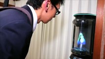 Un homme japonais fête son mariage d'un hologramme