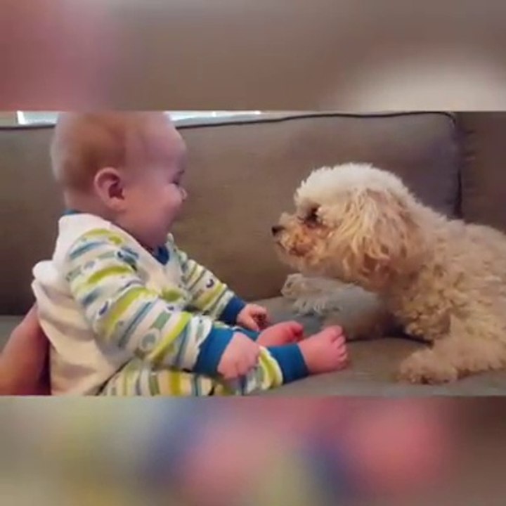 Dog & Baby Fun