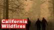 California Wildfires: More Thank 1,000 Missing And Air Pollution Worst In The World