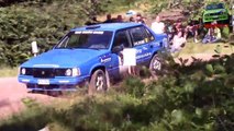 Extreme Volvo Rallying 2015