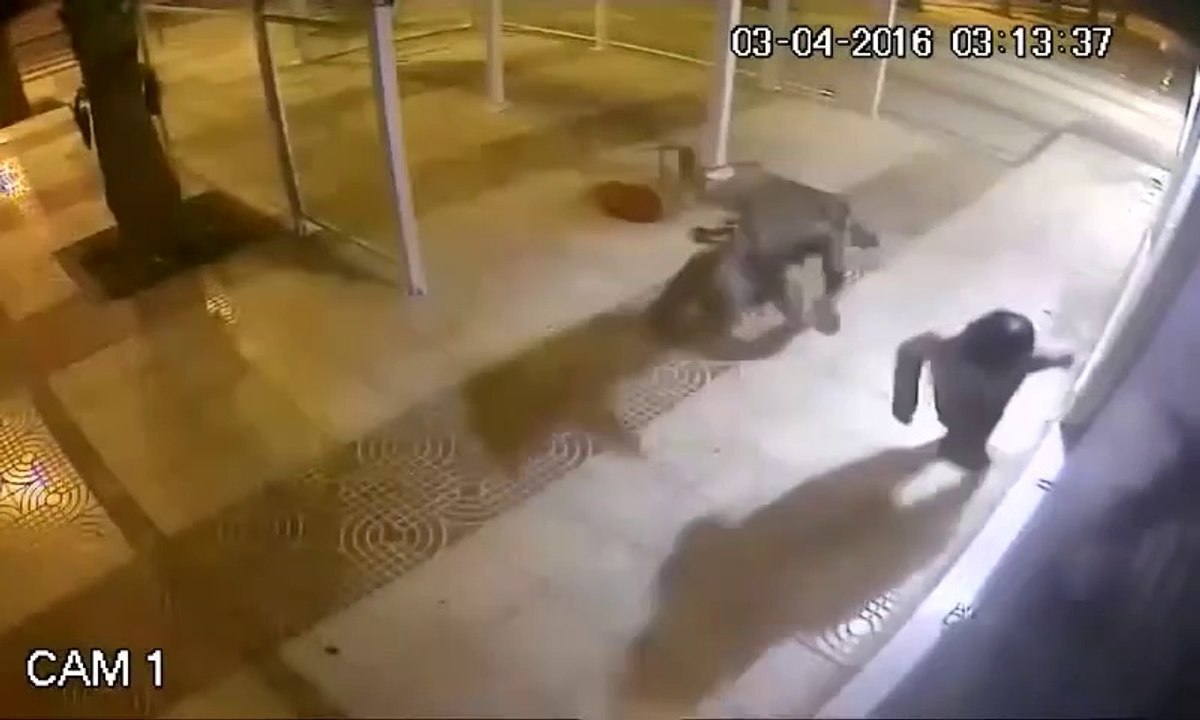 2 voleurs bien punit par le karma