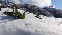 Samsun Akdağ'da Kartpostallık Kar Manzarası