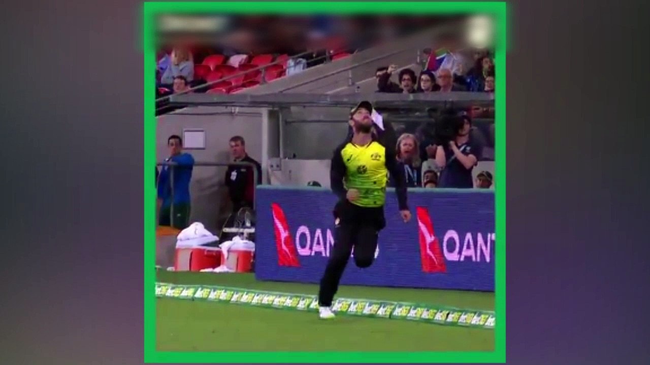 What a catch from Glenn Maxwell