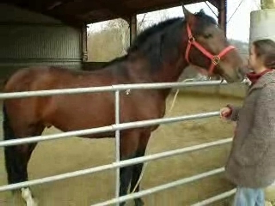 Espagnol aux Ecuries du Mas