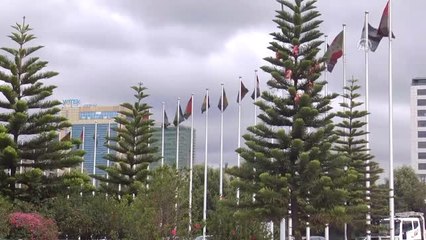 11. Afrika Birliği Olağanüstü Zirvesi (2) - Addis Ababa