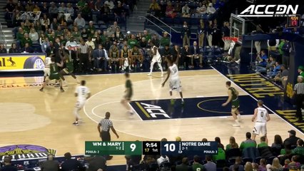 William & Mary vs. Notre Dame Basketball Highlights (2018-19)