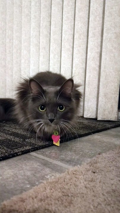 Wiggle wiggle wiggle