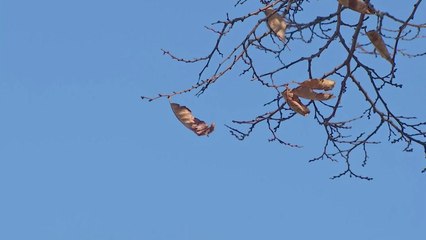 [날씨] 때 이른 추위 계속...전남 해안·제주도 비 / YTN