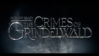 Fantastic Beasts - The Crimes of Grindelwald Movie Review   Part 1