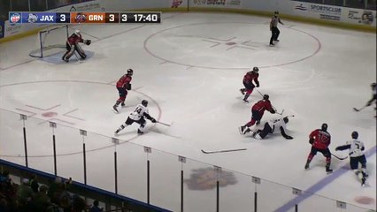 ECHL Jacksonville Icemen 4 at Greenville Swamp Rabbits 3