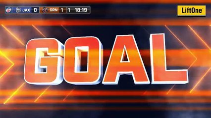 ECHL Jacksonville Icemen 4 at Greenville Swamp Rabbits 3