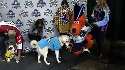 Admirals Take Down Reign