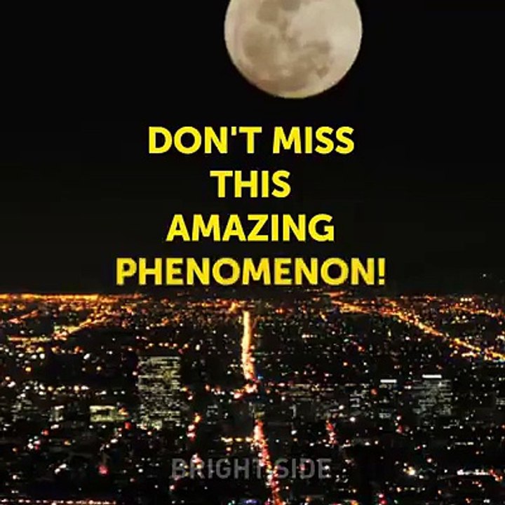 Amazing Phenomena