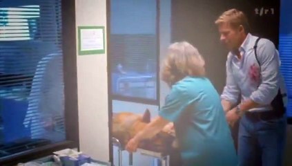 Rex, chien flic S12E01 FRENCH