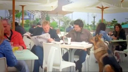 Rex, chien flic S12E02 FRENCH