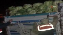 Lahana yüklü kamyonette 38 kaçak göçmen yakalandı
