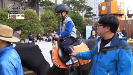 아파트에 말이 나타났다?! 도심에서 즐기는 특별한 하루!