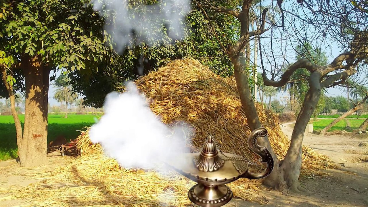 The Three Wishes - Rahim Pardesi