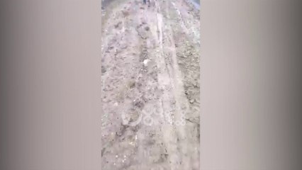 Ora News - Ushtria "kurseu" miliona euro në Vjosë, por banorët mbeten në baltë!