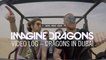 Imagine Dragons - Video Log