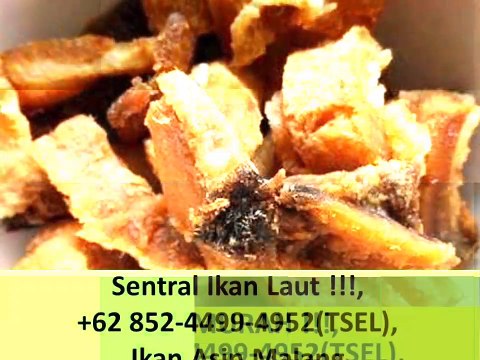 THE BEST!!!, +62 852-4499-4952(TSEL), Sa Eng ng pu