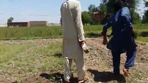 Pathan fight video//Fight in Peshawar 2018 // Peshawar fight video // چھوٹی سی بات پے اتنی بڑی لڑائی