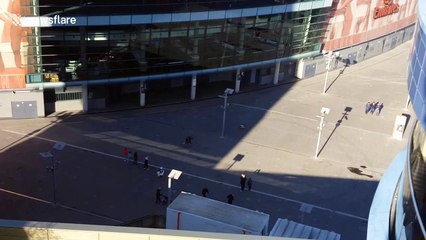 Talented dog skateboards outside the Emirates Stadium