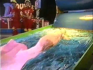 Australia's Double Dare's The Uncatchables vs. The Wildcats
