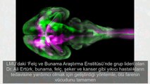 Türk bilim adamından tıp dünyasında şeffaf devrim