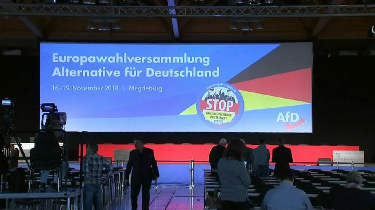 Geht es nur ums Geld? AfD hofft bei Europawahl auf 15 %