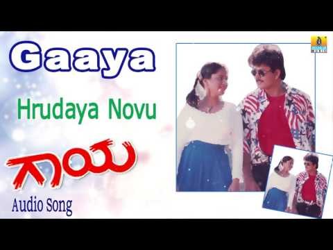 Gaaya | Hrudaya Novu Audio Song | Ramkumar, Chaitra I Jhankar Music