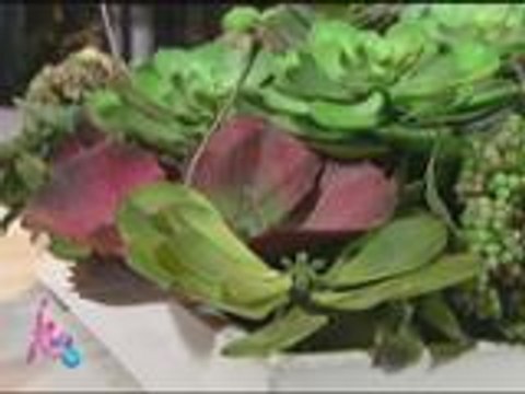 The merging of hearts for Conrad and Zsazsa