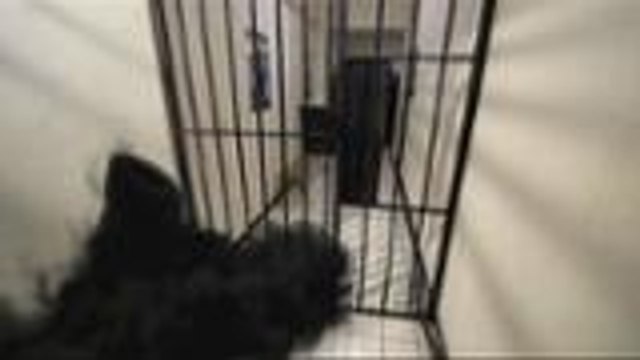 AVL, inamin na kay Paul ang katotohanan tungkol kay Hannah