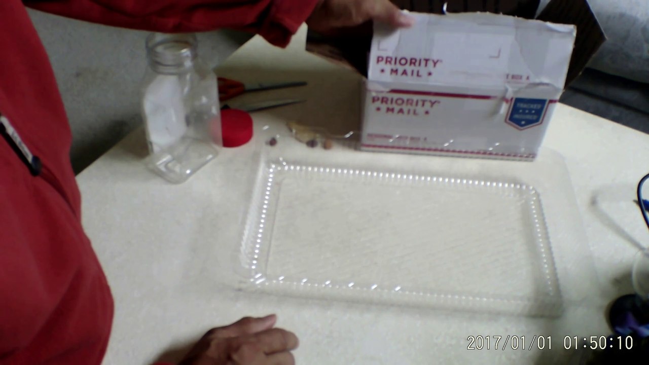 2 loại bẫy chuột đơn giản nhất, hữu hiệu nhất, và ít tốn kém nhất. (How to catch mice easily)