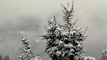 Alemanha coberta de neve