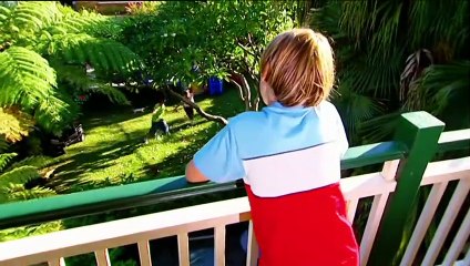 Backyard Science   S2E2   Perfect way to poke a Potato