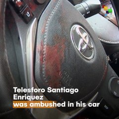 Mexican Indigenous Journalist Murdered