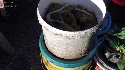 Wow, Snake Skin Of A Big Snake