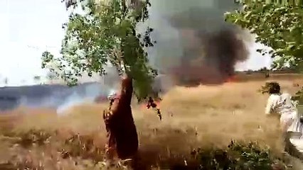 gandum kay fasal main agg 4 logo ki death