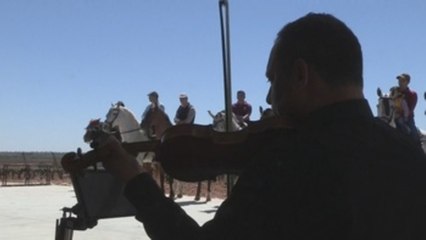 Música entre viñedos para los caballos