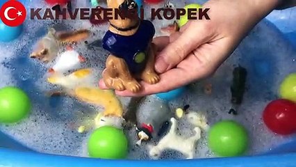 Learn colors Learn animals in 3 languages  English Nederlands Türkçe - Üç Dilde Hayvanlar ve Renkleri Ogreniyorum