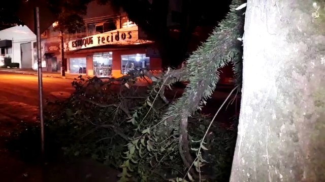 Galho de árvore caído na Rua Paraná atrapalha trânsito