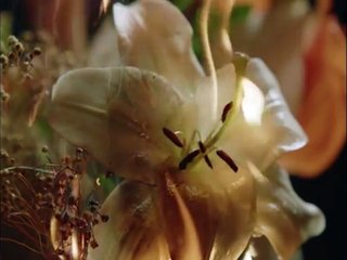 Amaia publica 'El Relámpago', un adelanto de su primer álbum