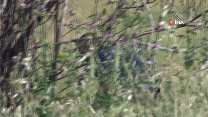 Lüks otomobilini bırakıp polisten kaçtı