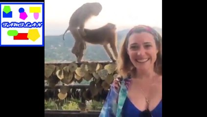 THE PERFECT TIMING CAPTURED UNWANTED THINGS