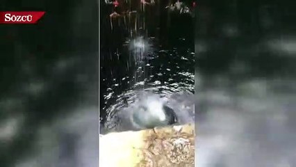 Hande Doğandemir’in adrenalin yüklü yolculuğu